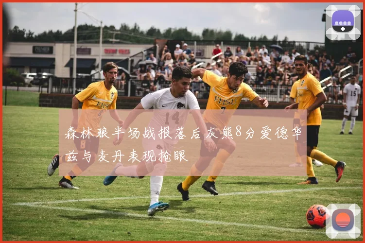 森林狼半场战报落后灰熊8分爱德华兹与麦丹表现抢眼