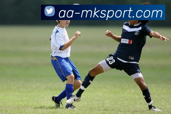 MK体育APP 封面图