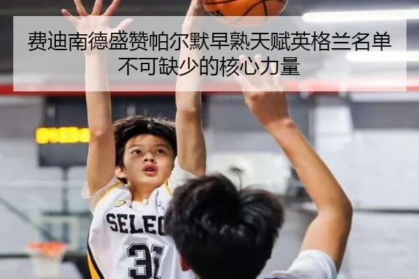 费迪南德盛赞帕尔默早熟天赋英格兰名单不可缺少的核心力量 - mksports