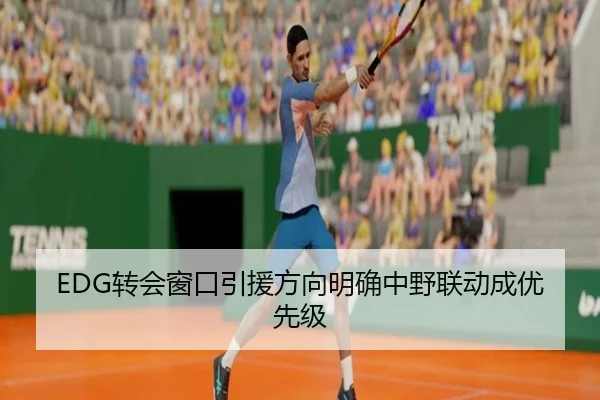 EDG转会窗口引援方向明确中野联动成优先级 - mksports